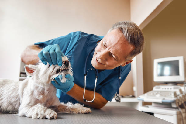 Best Emergency Tooth Extraction in Lebanon, PA